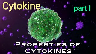 Properties of Cytokines  Attributes and Functions of Cytokines  Immunology  AM Biologie Notes [upl. by Arhat]