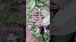 শহর টা যখন ঘুমিয়ে পড়ে একা থাকা টা কতটা [upl. by Iretak]