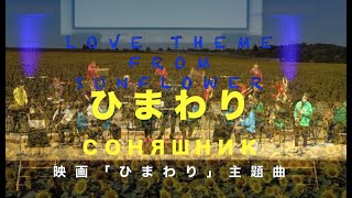 ひまわりсоняшник Love Theme From Sunflowerウクライナと世界の平和を祈って。吹奏楽演奏。 [upl. by Jaylene57]