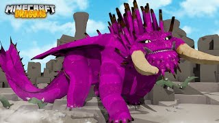 A NEW RARE BEWILDERBEAST  Minecraft Dragons S2 [upl. by Scheck504]