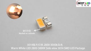 Warm White LED 28003000K Side view 3014 SMD LED Package [upl. by Nuriel]