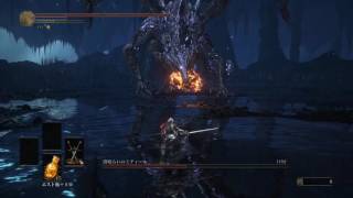 DarkSouls3 Midir Gotthard Twinswords dex build [upl. by Biondo218]