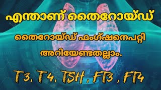 എന്താണ് തൈറോയ്ഡ്തൈറോയ്ഡ് ഫംഗ്ഷനെ പറ്റി അറിയേണ്ടതെല്ലാം [upl. by Inaleon]