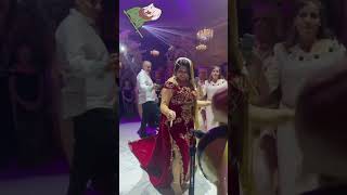 mariagealgerien mariaged اعراسجزائرية mariagemarocain follow [upl. by Yecnahc]