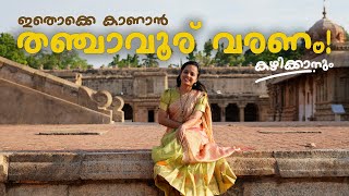 Why We Went to Thanjavur [upl. by Ahsaei4]