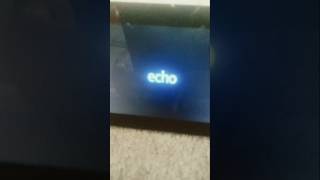 Amazon Alexa echoshow 5 Startup [upl. by Wellesley]