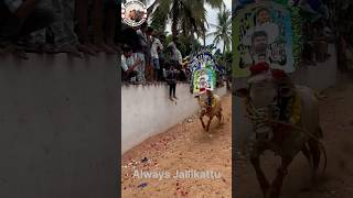 jallikattu ysjagangoverance jaganannaagendasong andhrapradesh ysrcpmusic ysrcpsongs jagan [upl. by Dwan527]