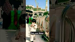 Zam Zam Water fact  Ayaan Sabari katpura trending viralvideo shorts Short [upl. by Cleodel]