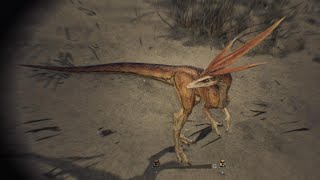 Monster Hunter Wilds Beta Compy like endemic life Windrustlers [upl. by Ahsela943]