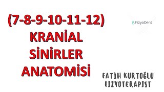 712 Kranial Sinirler  ANATOMİ SİSTEMLER KONU ANLATIMI 13 [upl. by Enrev]