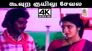 Koovura kuyilu Song 4k SPB S ஜானகி பாடிய பாடல் கூவுற குயிலு சேவல பாத்து [upl. by Klockau]