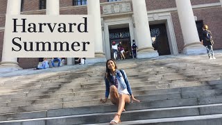 HOW TO GET INTO HARVARD PRECOLLEGE PROGRAM [upl. by Marty]