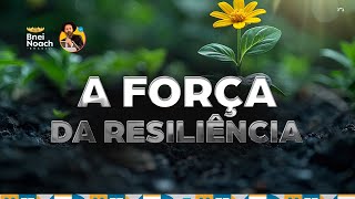 A Força da Resiliência [upl. by Caplan447]