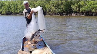 INACREDITÁVEL A QUANTIDADE DE PEIXES NO RIO DA BARRA VELHA 😲 PESCARIA DE TARRAFA 🕸️🐟🙏 [upl. by Leinaj]