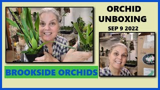 ORCHID UNBOXING BROOKSIDE ORCHIDS SEP 2022 [upl. by Idnyl]