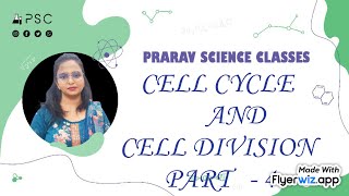 CLASS 11  BIOLOGY  CELL CYCLE AND CELL DIVISION  M  PHASE  MITOTIC PHASE [upl. by Aldwin16]