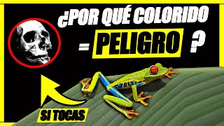 ¿POR QUÉ los ANIMALES VENENOSOS y los MACHOS son tan COLORIDOS🐸 Hackeando la naturaleza [upl. by Casey639]