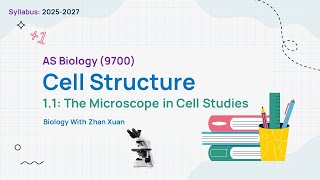 ALevel AS Biology 9700  Chapter 1 Cell Structure  The Microscope in Cell Studies [upl. by Nibot544]