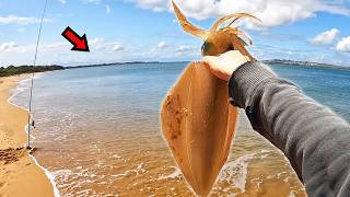 Insane Beach Fishing with Giants Everywhere [upl. by Eatnwahs]