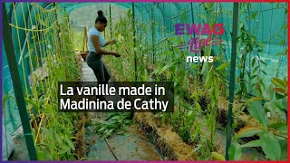 La vanille made in Madinina de Cathy  Ewag News [upl. by Nereids660]