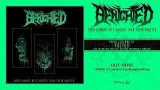 Benighted  Foetus Live in Lyon May 2018 feat Ben from Unfathomable Ruination [upl. by Matias782]