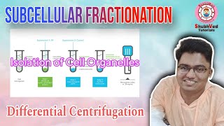 Subcellular Fractionation  Isolation of cell organelles  Differential Centrifugation [upl. by Kristen]