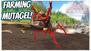 IS THIS THE BEST WAY TO FARM MUTAGEL MANTIS TAMING  Ark Genesis 2 Ep 256 [upl. by Sauveur690]