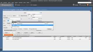 Tutorial EinnahmenAusgaben in den Stapel im Lexware Buchhalter 2012 [upl. by Pruter297]