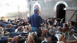 Preparing to Feed the Hounds of Château de Cheverny [upl. by Eirrol]