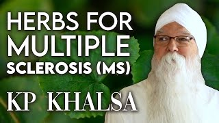 Potential Herbal Remedies for Multiple sclerosis MS  KP Khalsa [upl. by Tammie611]