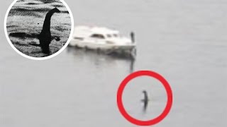 Turista graba al monstruo del lago Ness después de ocho meses desaparecido [upl. by Skerl]