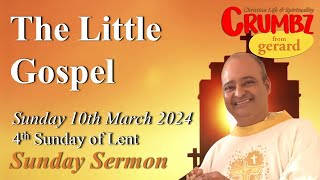 Sunday 10th March 2024 – 4th Sunday of Lent – Jn 316  3 Minute Reflections [upl. by Kee145]