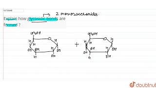 Explain how glycosidic bonds are formed   11  BIOMOLECULES  BIOLOGY  PRADEEP  Doubtnut [upl. by Ardnac]