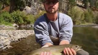 SOTF Chasing cutthroats and bull trout in Central Idaho [upl. by Marga]