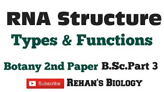 RNA Ribonucleic acid आरएनए II Structuretypes amp Functions IIRehans Biology [upl. by Suryt322]