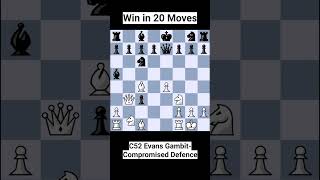 Chess trick for White  Evans Gambit chess chessshorts chesstricks chesstraps [upl. by Seni]