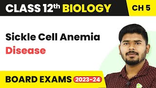 Class 12 Biology Ch 5  Sickle Cell Anemia Disease  Principles of Inheritance and Variation 202223 [upl. by Annahoj]