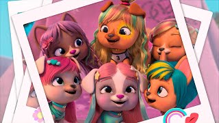 VIP PETS 🌈 NEW SERIES 💕Lets go for the record😎 PREMIERE ✨ Cartoons for KIDS  PWR CLUB in English [upl. by Freytag]