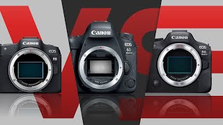 Canon EOS 6D Mark II vs EOS R8 vs EOS R6 Mark II [upl. by Kalina415]