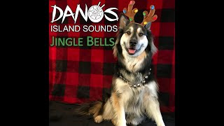 Steel Drum  Jingle Bells by Danos Island Sounds [upl. by Jc]