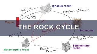 Rock Cycle  Formation of Igneous Metamorphic Sedimentary Rocks  Geology [upl. by Bridwell]