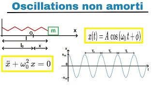 Oscillations  non amorti شرح [upl. by Dihgirb]