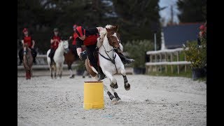 Mounted Games Open Excellence Sessions Corné 2018 Picagames [upl. by Bartolome237]