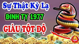 Đinh Tỵ 1977 Biết Được Ý Trời LÀM 1 HƯỞNG 10 Tiền Bạc Ùn Ùn Đổ Về Nhà GIÀU TỘT ĐỈNH [upl. by Nairda223]