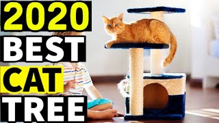 Best Cat Tree 2024 ⬆️ TOP 5 ✅ [upl. by Ellimac421]