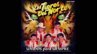 los tigres del norte mix [upl. by Nilved]