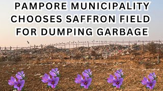 Pampore Municipality Chooses Saffron Field For Dumping Garbage [upl. by Arrahs101]