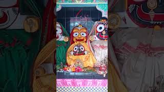 Tu thile mo dara kahaku❤️🙏 ମୋ ଜଗା କାଳିଆ  odia bhajana mo kalia suna [upl. by Enale804]