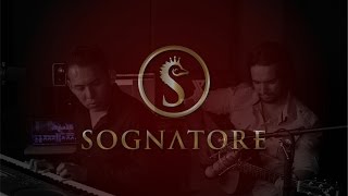 quotKayleighquot  Marillion  Acoustic Fingerstyle Guitar  Vocal Cover  Sognatore [upl. by Dag]