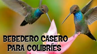 Bebedero para colibrì fàcil y econòmico  hecho en casa [upl. by Latyrc]